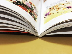 成都百鉑文化 專業(yè)打造家具家居產(chǎn)品宣傳畫(huà)冊(cè)，賦能品牌形象